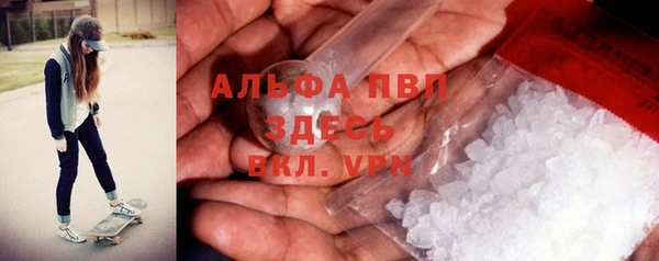 мяу мяу мука Инсар