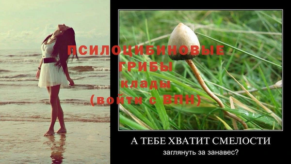 мдпв Иннополис