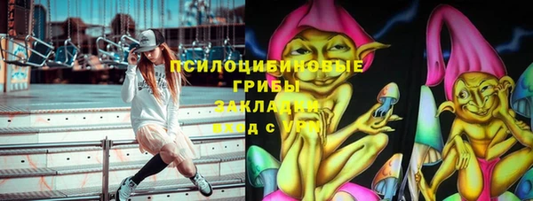 мяу мяу мука Инсар